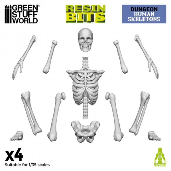 Green Stuff World: 3D printed set - Human Skeletons 1:35