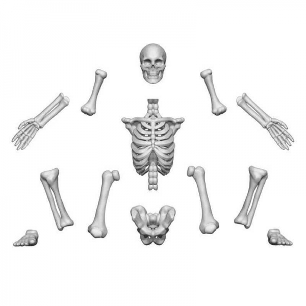 Green Stuff World: Human Skeletons 1:48