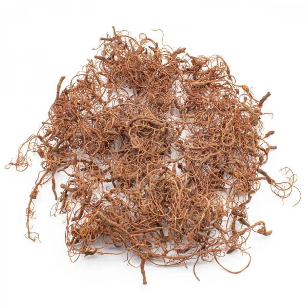 Green Stuff World: Diorama Tree Roots