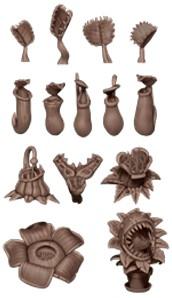 AK-Interactive: Carnivorous Plants