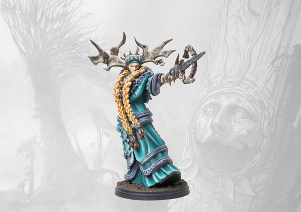 Nords: Faithbearer Reginleif