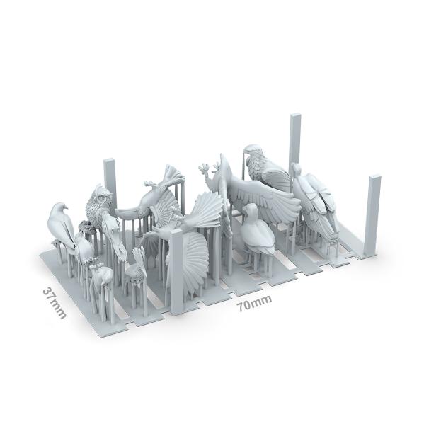 AK-Interactive: Birds - AK Basing Bits