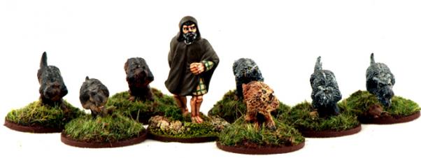 (Irish) Handler & Dogs