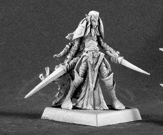 Dark Elf Warrior